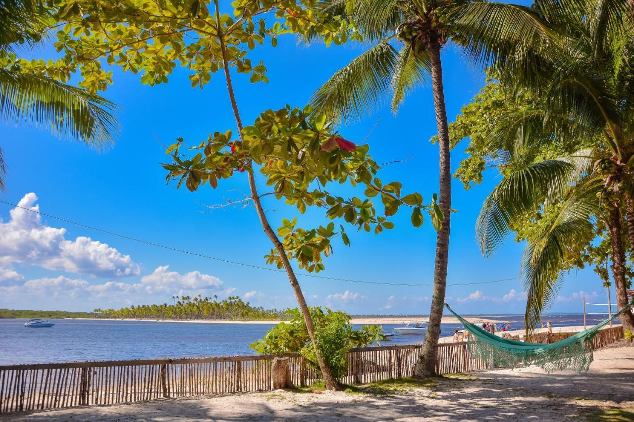 Pousada Vila Palma Boipeba Velha Boipeba Kültér fotó